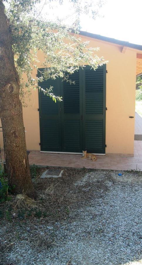 Agriturismo Ardizio 43 Pesaro Ngoại thất bức ảnh