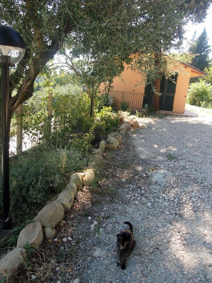 Agriturismo Ardizio 43 Pesaro Ngoại thất bức ảnh
