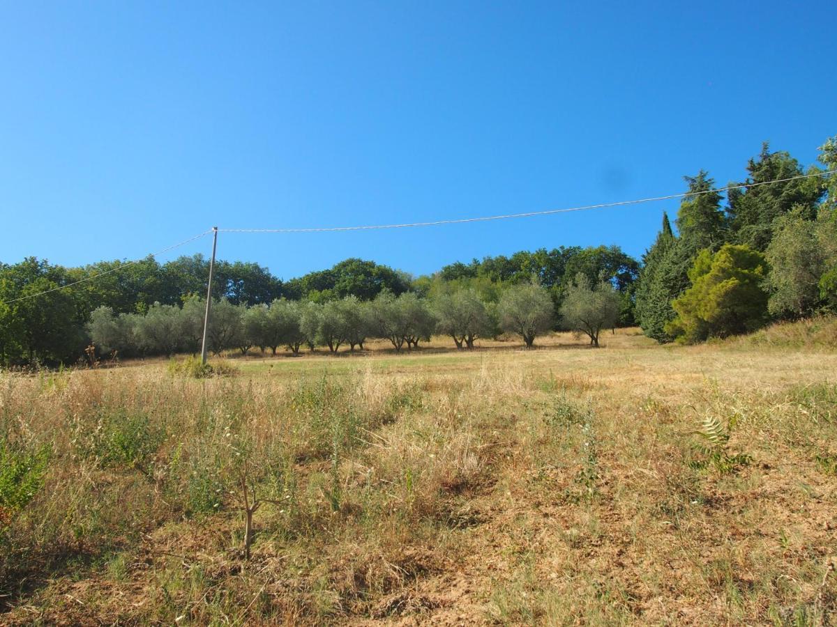 Agriturismo Ardizio 43 Pesaro Ngoại thất bức ảnh